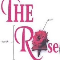 The Rose Registro de  Marca